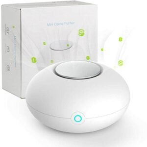 Mini Ozone Air Purifier