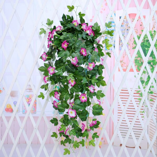 Morning Glory Hanging Plant